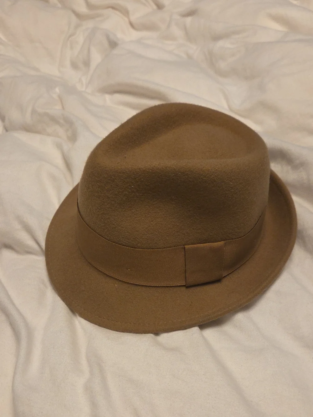 Zara Wool Fedora Beige Hat